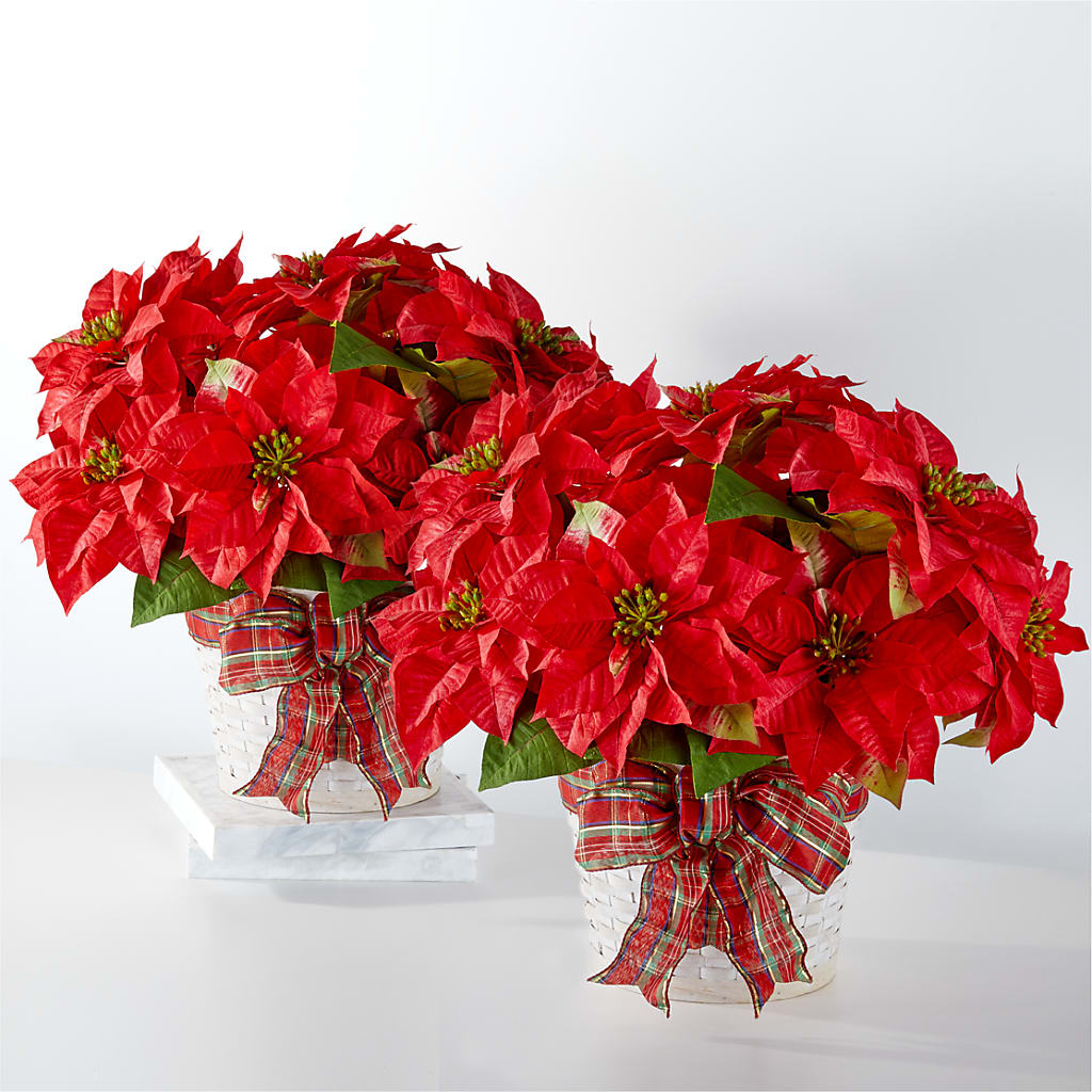 Happiest Holidays Poinsettia Bundle – Unique Flowers And Wedding, Dania Beach FL