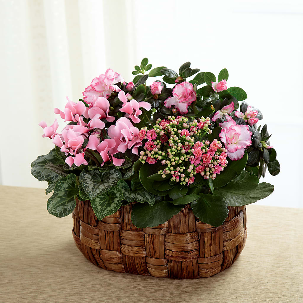 Pink Assortment – Unique Flowers And Wedding, Dania Beach FL