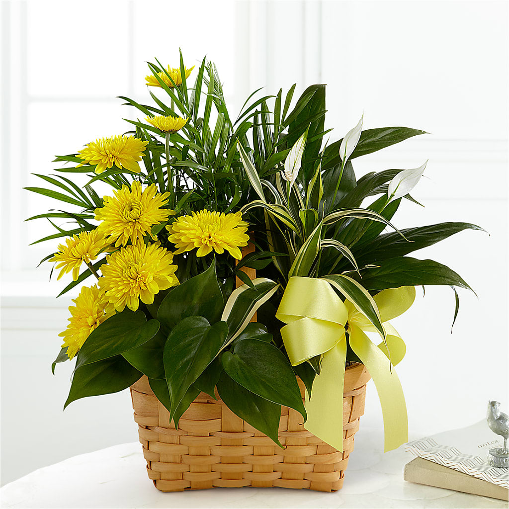 Loving Light Dishgarden – Unique Flowers And Wedding, Dania Beach FL