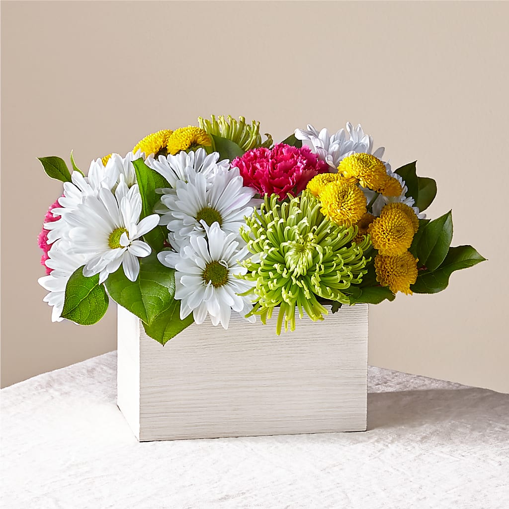 Sorbet Bouquet – Unique Flowers And Wedding, Dania Beach FL