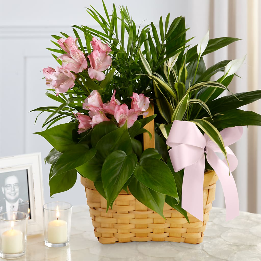 Living Spirit Dishgarden – Unique Flowers And Wedding, Dania Beach FL