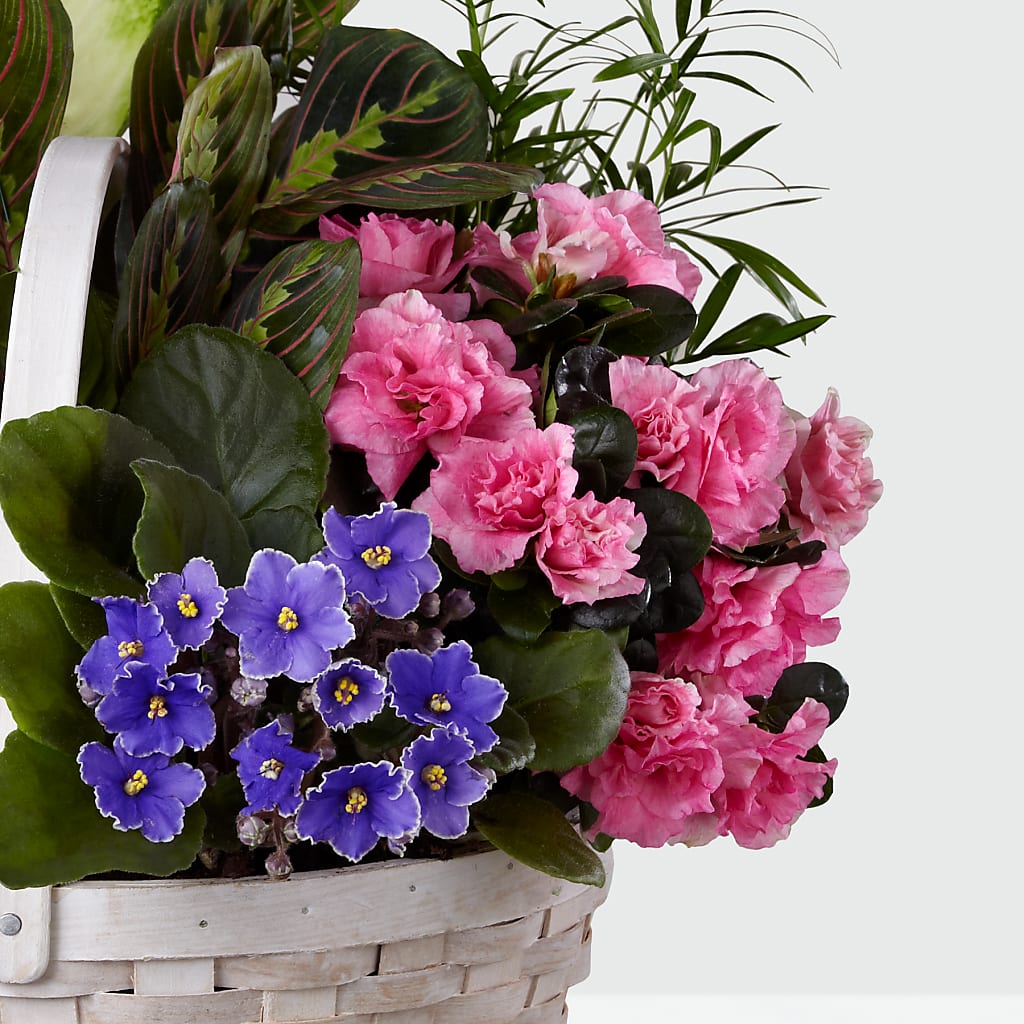 Peaceful Garden Planter – Unique Flowers And Wedding, Dania Beach FL