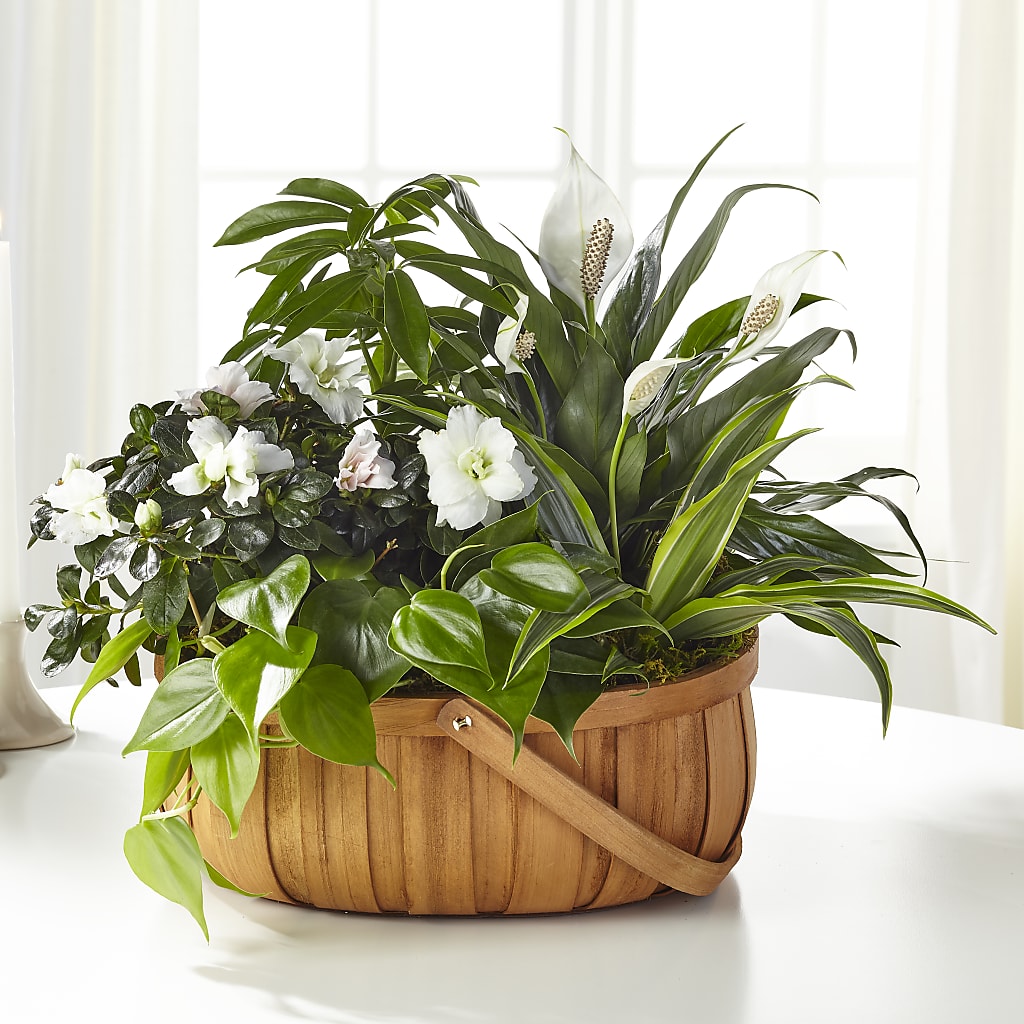 Serene Dishgarden – Unique Flowers And Wedding, Dania Beach FL