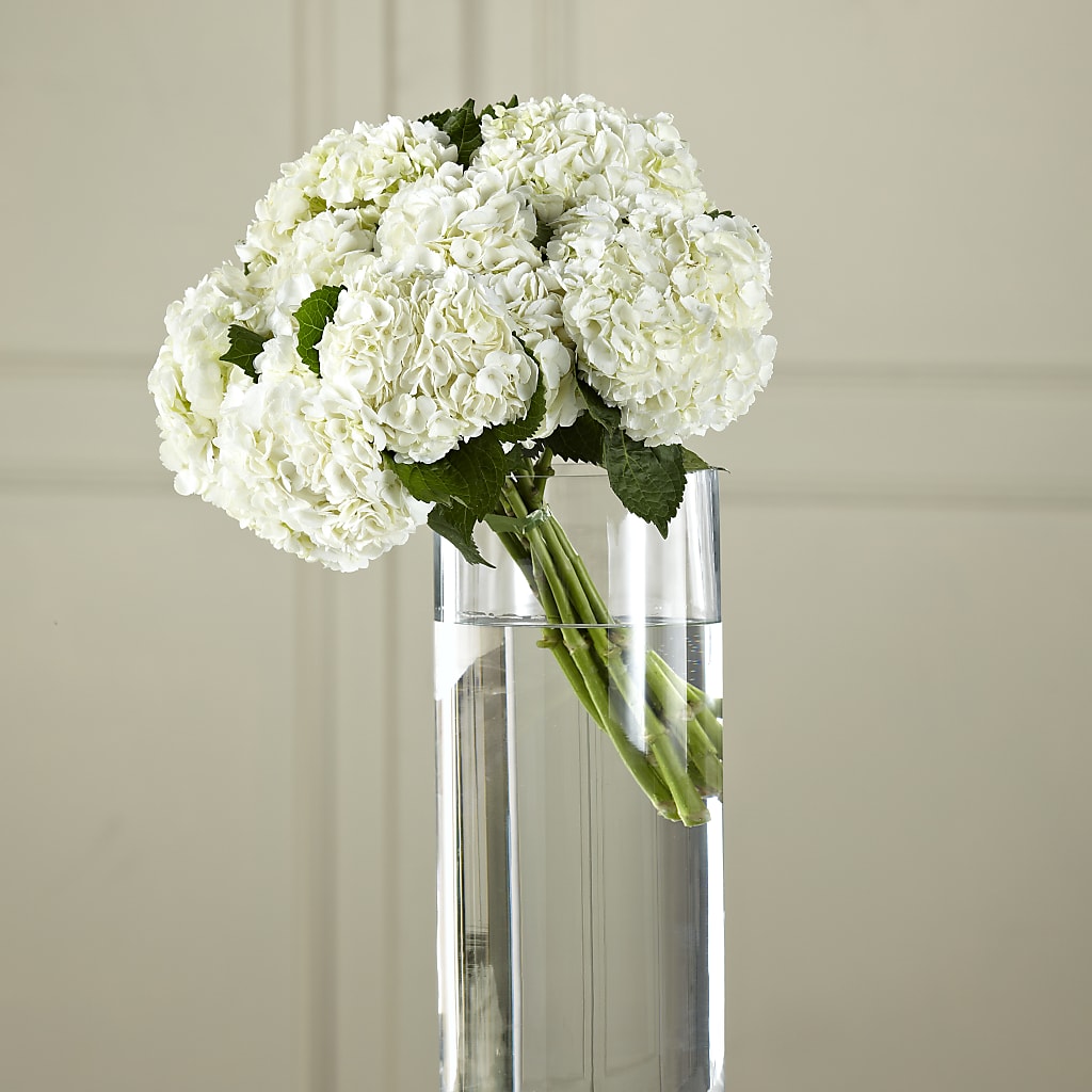 White Hydrangea Hand-Tied Bouquet – Unique Flowers And Wedding, Dania Beach FL