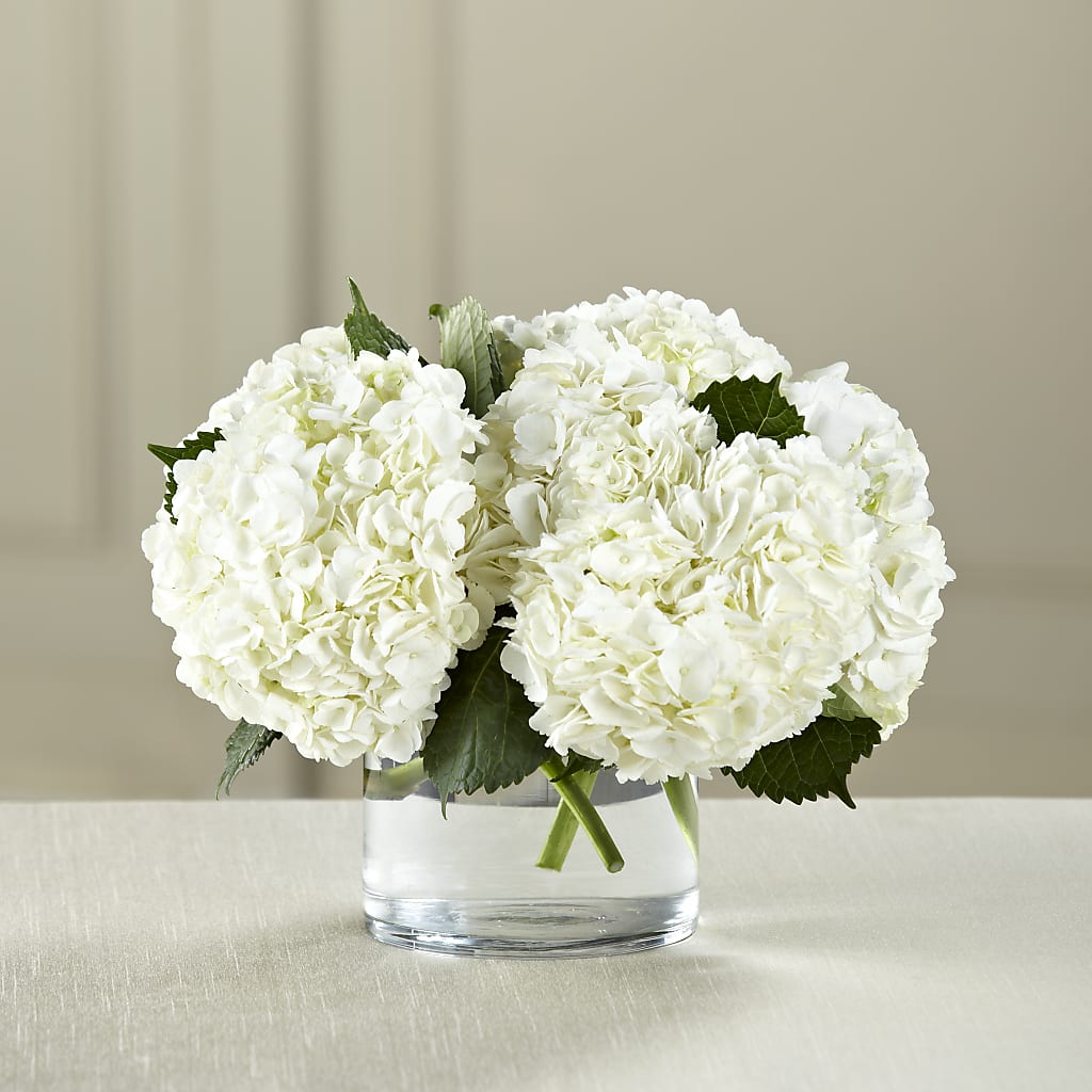 White Hydrangea Bouquet – Unique Flowers And Wedding, Dania Beach FL