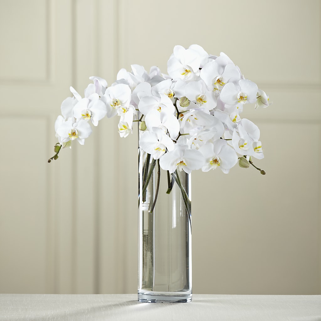 White Phalaenopsis Bouquet – Unique Flowers And Wedding, Dania Beach FL