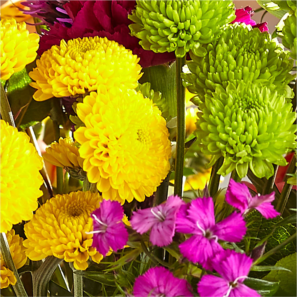 Bold & Bright – A Florist Original –  Unique Flowers And Wedding, Dania Beach FL