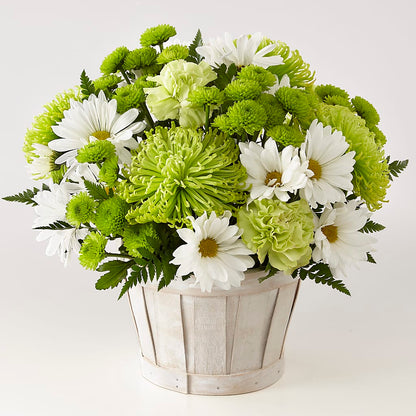 Lucky Charm Basket (Standard) –  Unique Flowers And Wedding, Dania Beach FL