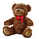 Adorable Plush Bear –  Unique Flowers And Wedding, Dania Beach FL