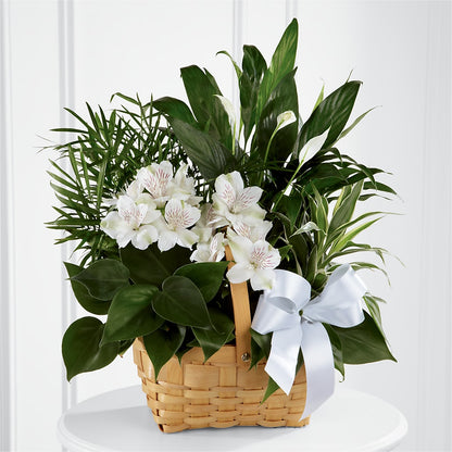 Peace & Serenity Dishgarden –  Unique Flowers And Wedding, Dania Beach FL