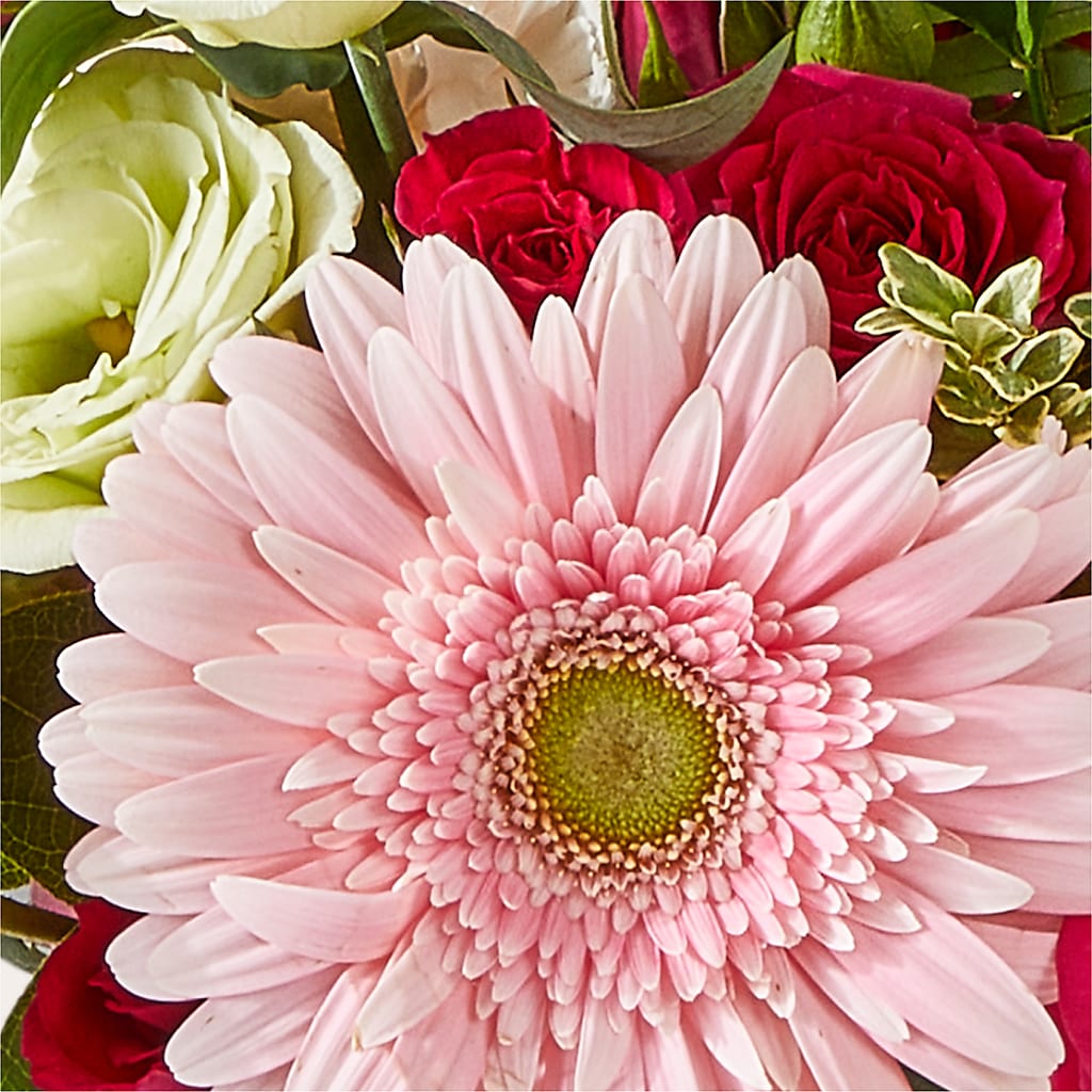 Too Cute Bouquet –  Unique Flowers And Wedding, Dania Beach FL