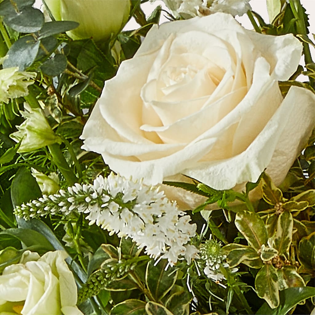 Cashmere Bouquet –  Unique Flowers And Wedding, Dania Beach FL