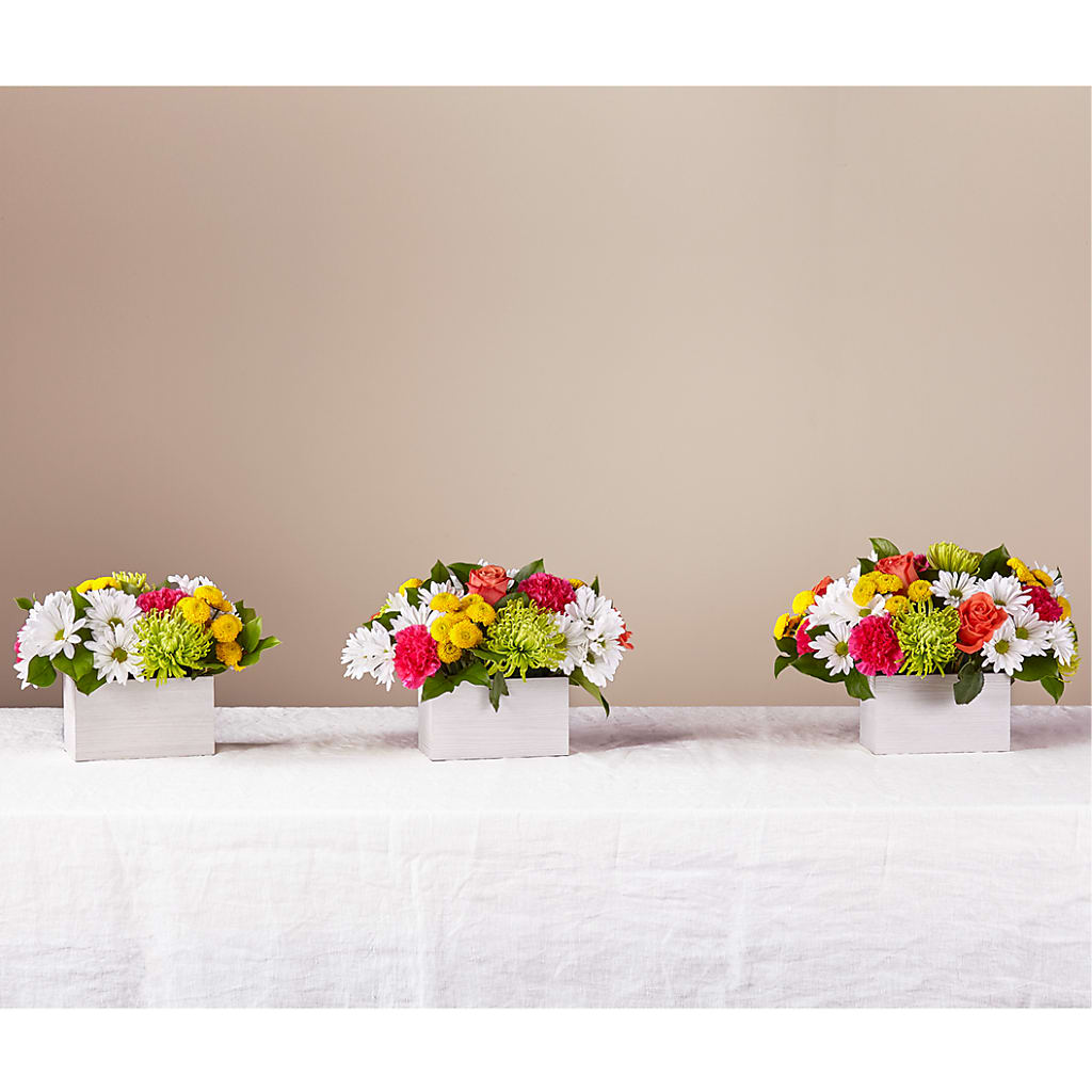Sorbet Bouquet –  Unique Flowers And Wedding, Dania Beach FL