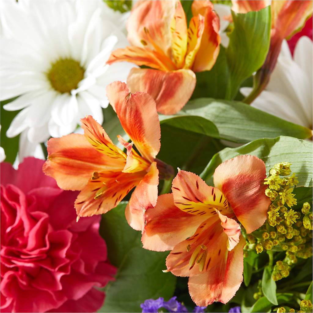 Oopsie Daisy Box Bouquet –  Unique Flowers And Wedding, Dania Beach FL