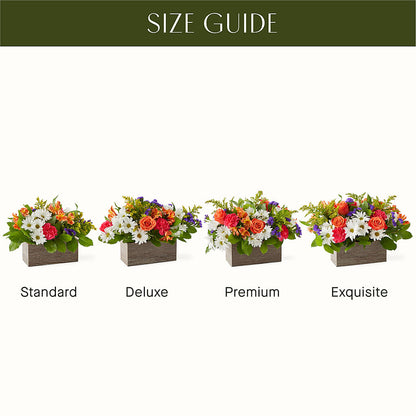 Oopsie Daisy Box Bouquet –  Unique Flowers And Wedding, Dania Beach FL