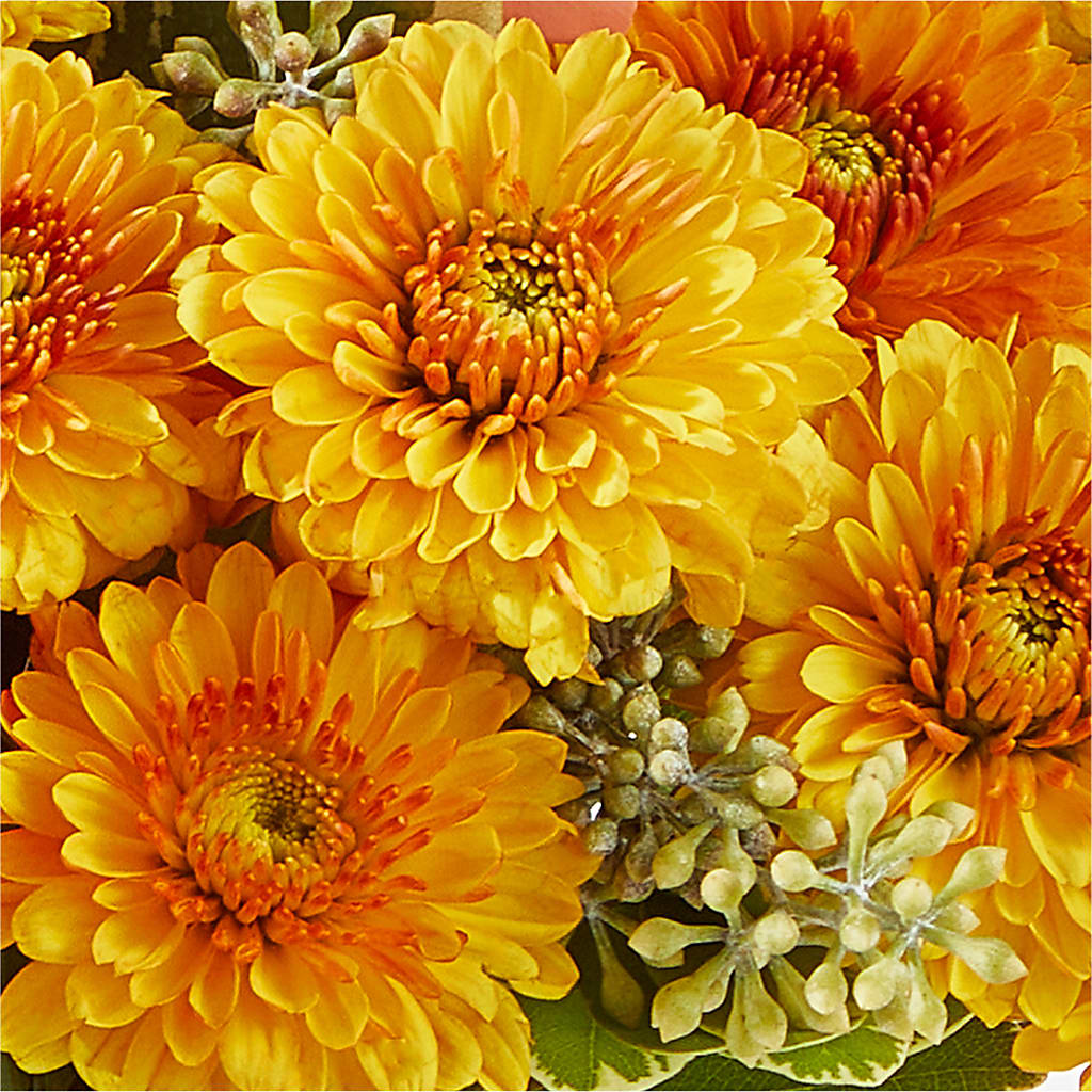 Peachy Pumpkin –  Unique Flowers And Wedding, Dania Beach FL