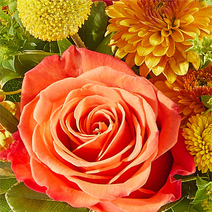 Gourdgeous Pumpkin –  Unique Flowers And Wedding, Dania Beach FL