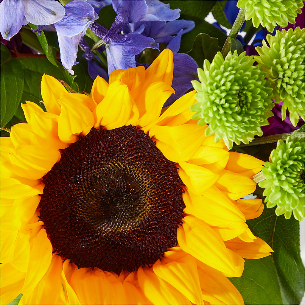 Catching Rays Bouquet –  Unique Flowers And Wedding, Dania Beach FL