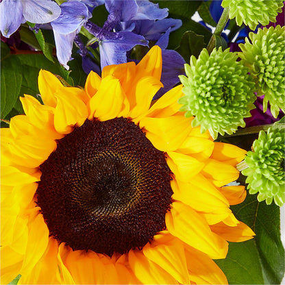 Catching Rays Bouquet –  Unique Flowers And Wedding, Dania Beach FL
