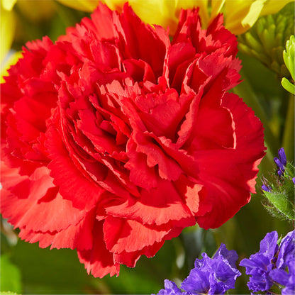 Brighter Days Bouquet –  Unique Flowers And Wedding, Dania Beach FL