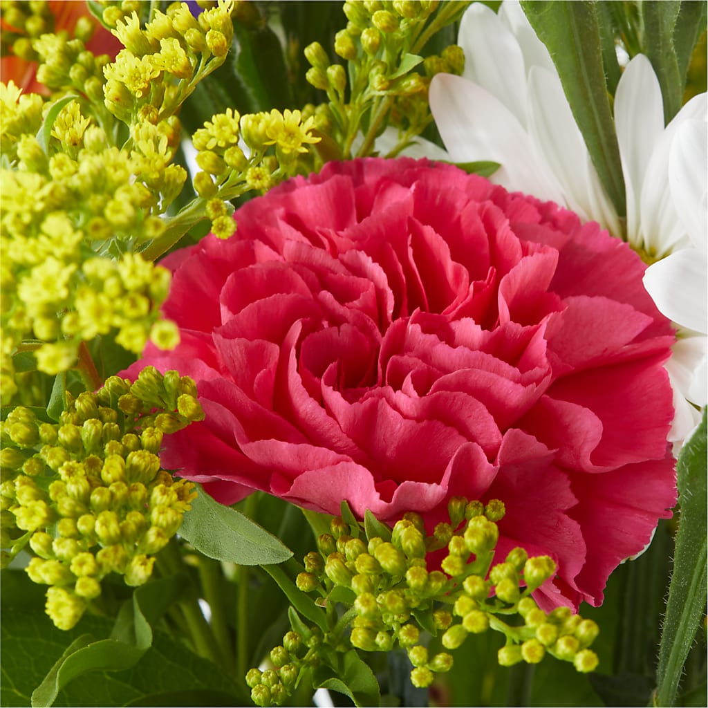 Oopsie Daisy Bouquet –  Unique Flowers And Wedding, Dania Beach FL