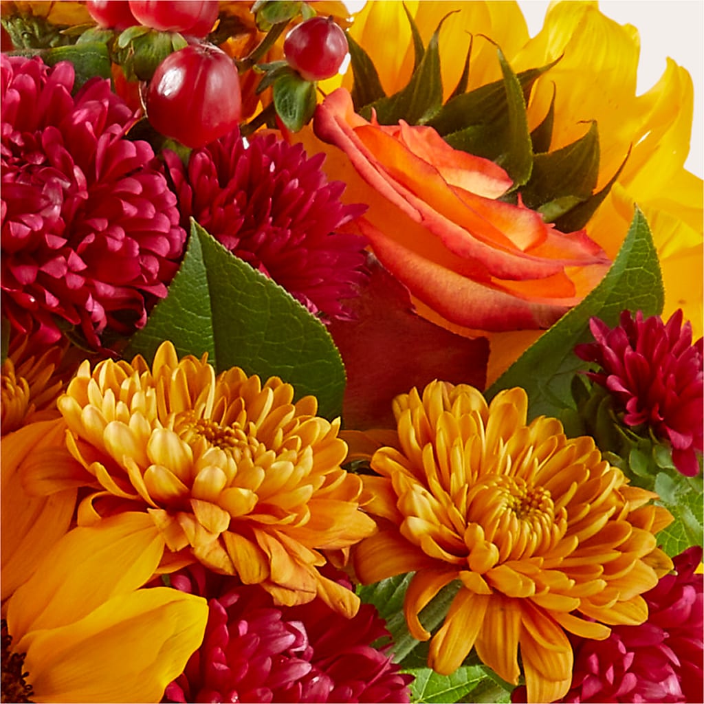 Sweater Season - A Florist Original –  Unique Flowers And Wedding, Dania Beach FL