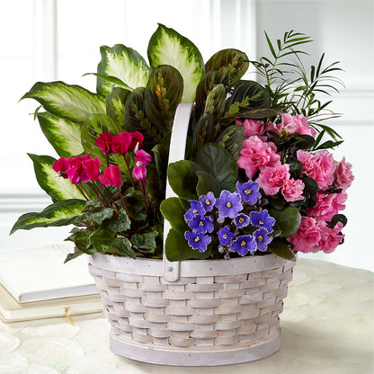 Peaceful Garden Planter –  Unique Flowers And Wedding, Dania Beach FL