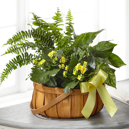 Always Dear Dishgarden –  Unique Flowers And Wedding, Dania Beach FL