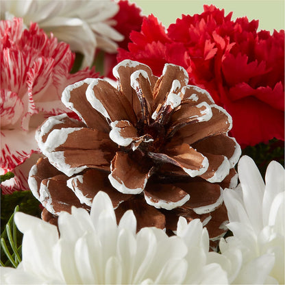 Candy Cane Lane Bouquet –  Unique Flowers And Wedding, Dania Beach FL