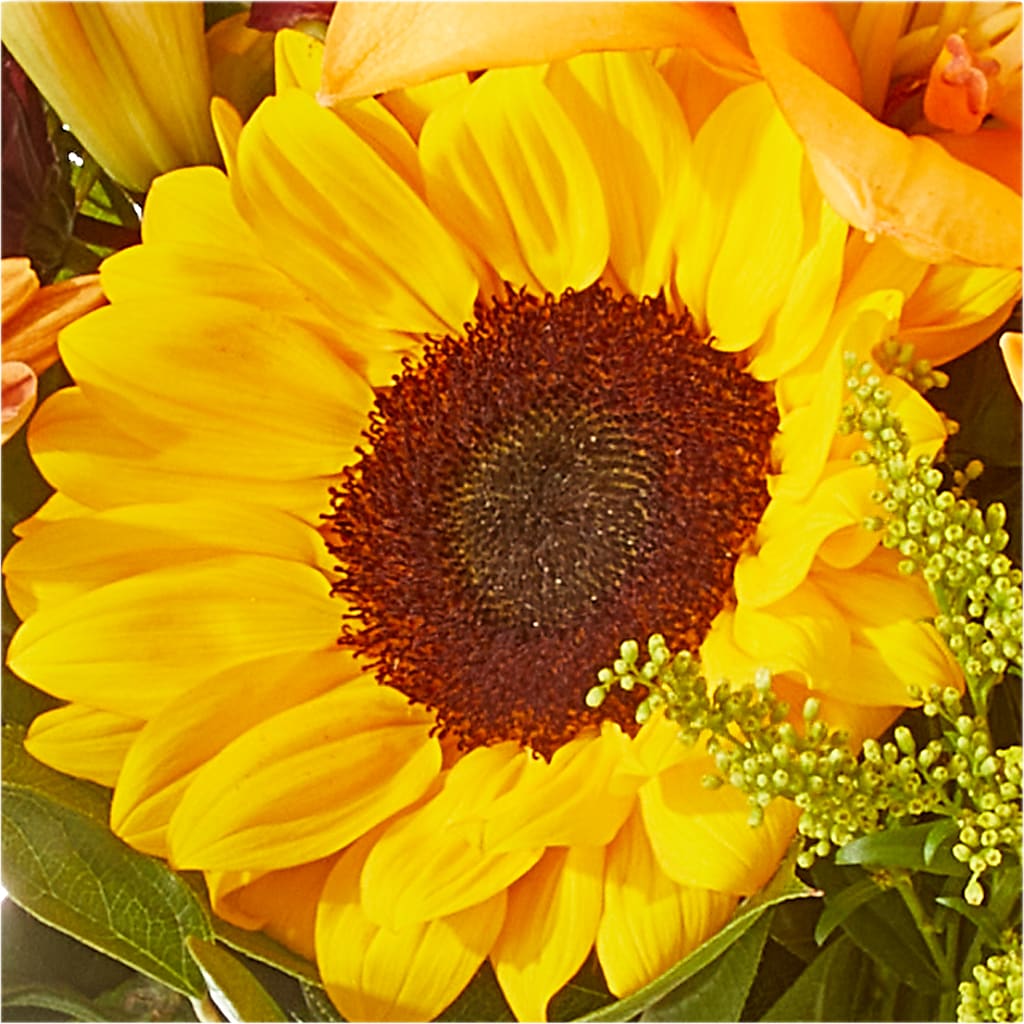 Seasons Change Bouquet –  Unique Flowers And Wedding, Dania Beach FL
