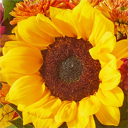 Sunny Side Bouquet –  Unique Flowers And Wedding, Dania Beach FL