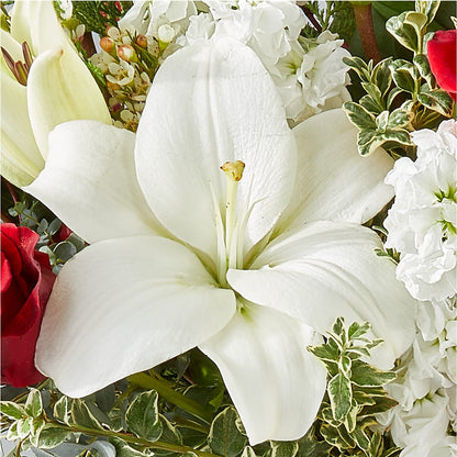 Twinkle Lights Bouquet –  Unique Flowers And Wedding, Dania Beach FL