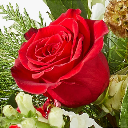 Deck the Halls Bouquet –  Unique Flowers And Wedding, Dania Beach FL