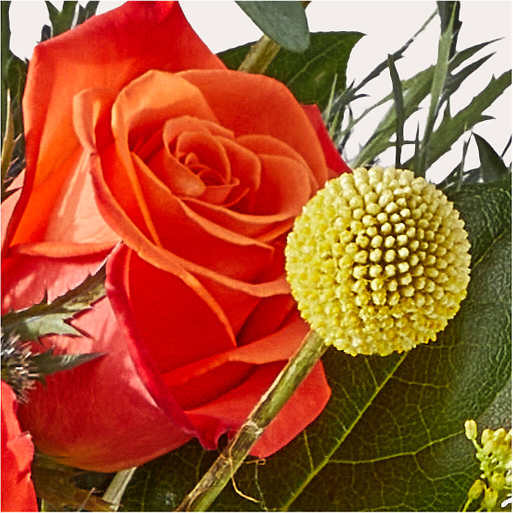 Disco Bouquet –  Unique Flowers And Wedding, Dania Beach FL