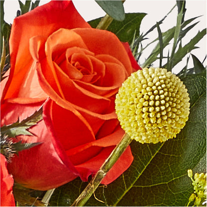 Disco Bouquet –  Unique Flowers And Wedding, Dania Beach FL