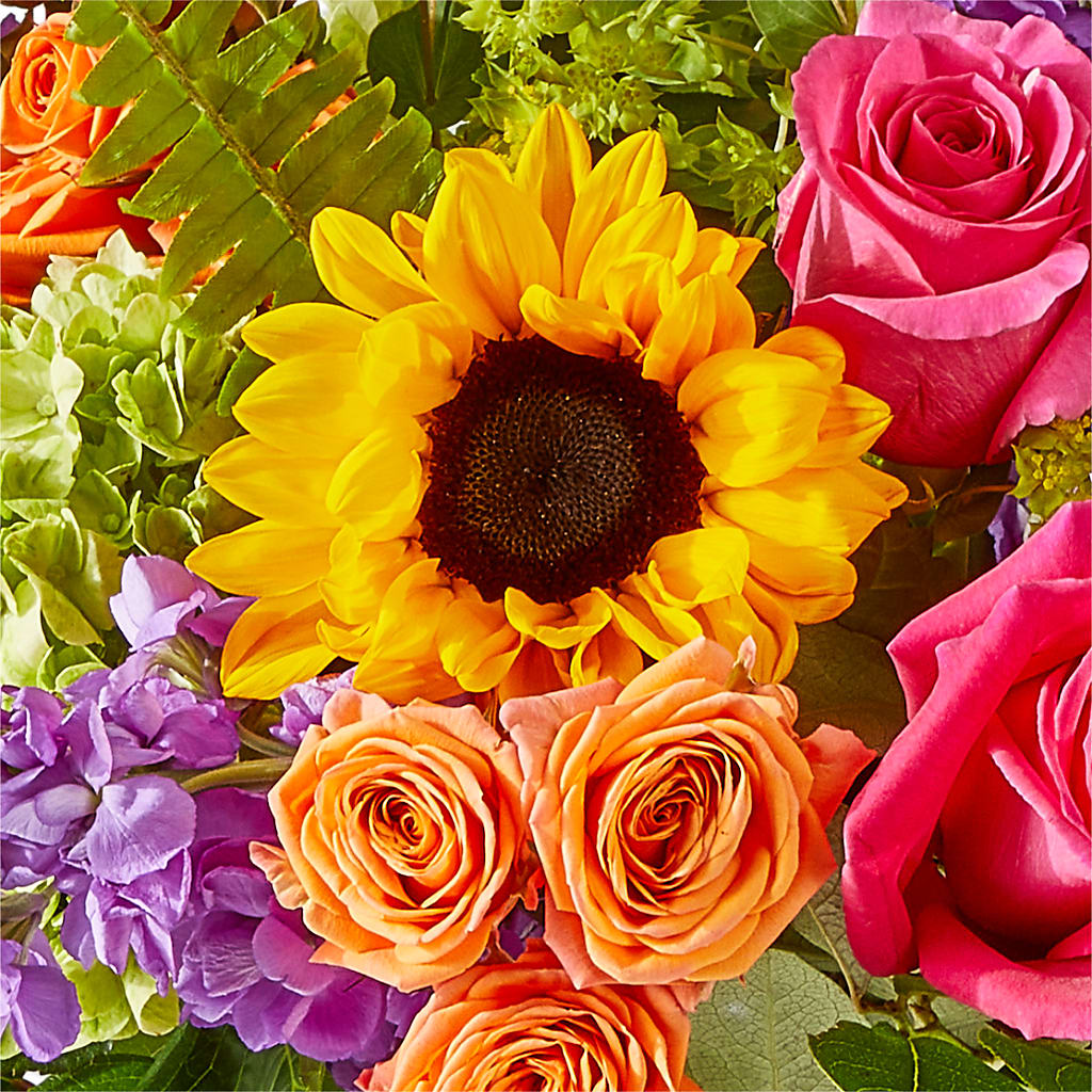 Vibrant Greetings Bouquet –  Unique Flowers And Wedding, Dania Beach FL