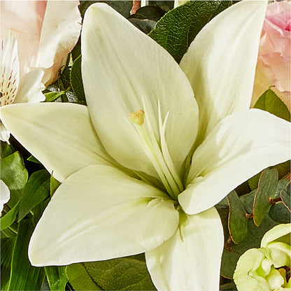 Ballet Slippers Bouquet –  Unique Flowers And Wedding, Dania Beach FL