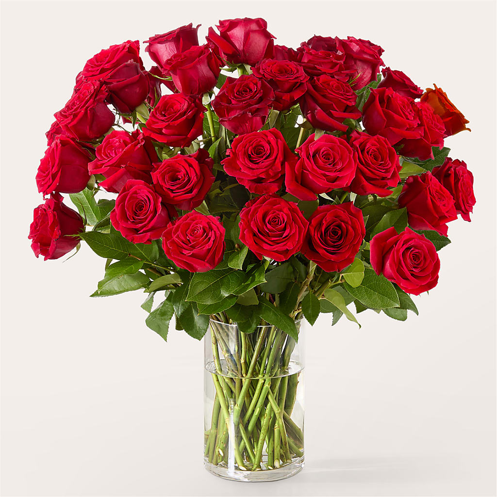 The One Red Rose Bouquet –  Unique Flowers And Wedding, Dania Beach FL