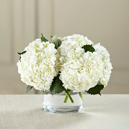 White Hydrangea Bouquet –  Unique Flowers And Wedding, Dania Beach FL