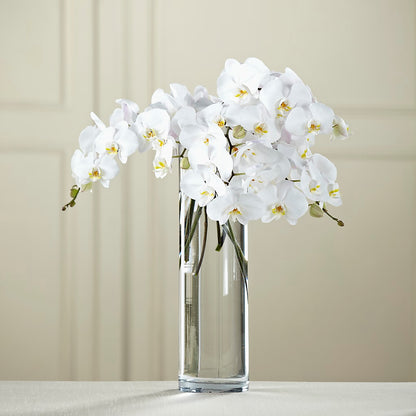 White Phalaenopsis Bouquet –  Unique Flowers And Wedding, Dania Beach FL